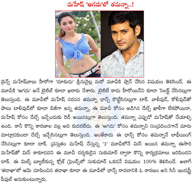 mahesh babu,aagadu,tamanna selected for mahesh in aagadu movie,aagadu movie details,tamanna with mahesh babu,tamanna lobbying for mahesh aagadu movie,sukumar,1 movie,mahesh babu,srinu vaitla,mahesh babu again with srinu vaitla  mahesh babu, aagadu, tamanna selected for mahesh in aagadu movie, aagadu movie details, tamanna with mahesh babu, tamanna lobbying for mahesh aagadu movie, sukumar, 1 movie, mahesh babu, srinu vaitla, mahesh babu again with srinu vaitla